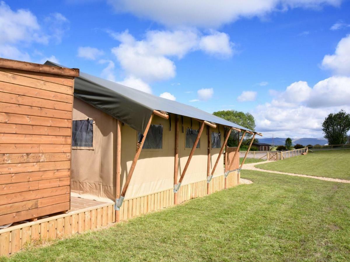 Carr'S Hill Luxury Safari Tents Denny Экстерьер фото